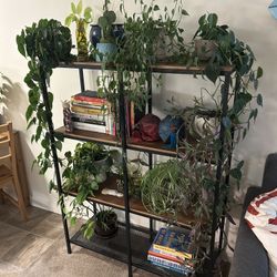 Bookshelf (4 Shelves) ( Things On Shelves Not Included:))