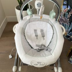 Graco Swing Set