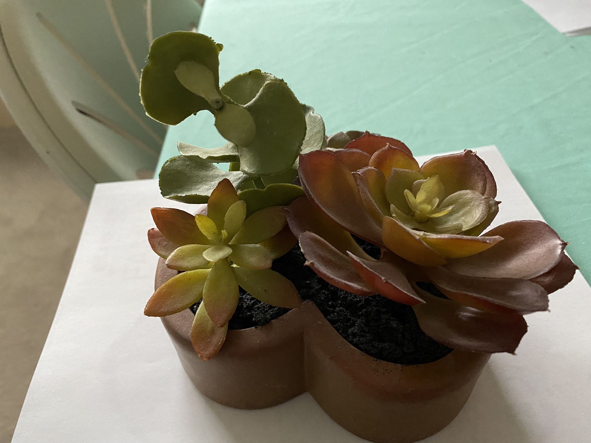 Artificial Succulent Plant