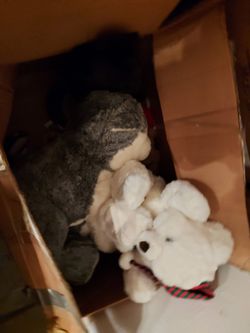 Stuff Toys