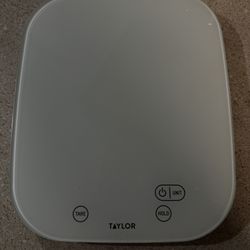 TAYLOR Food Digital Scale
