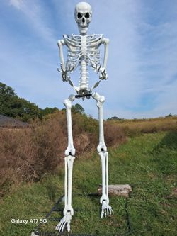 10 Foot Skeleton decoration