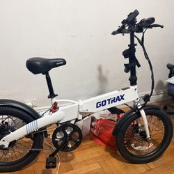 Electric Bike 