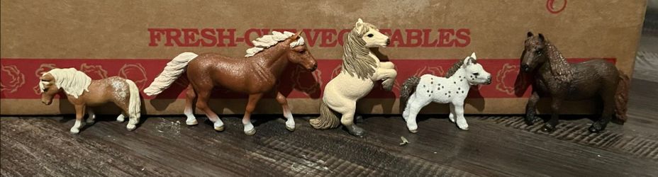 5 jumping horses and training courses