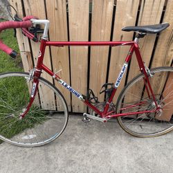 Lejeune Red Road Bicycle