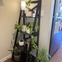 Ladder Shelf