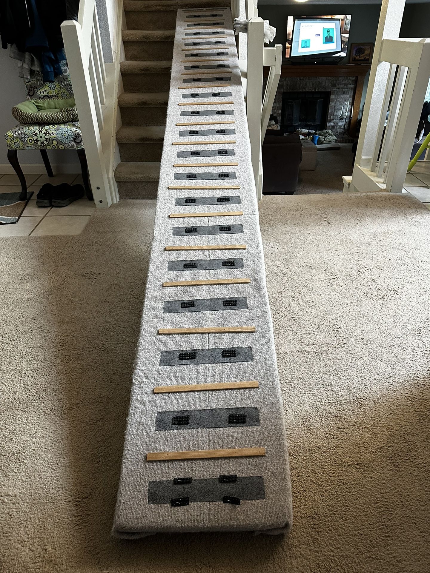 Dog Ramps