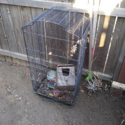 Bird Cages 