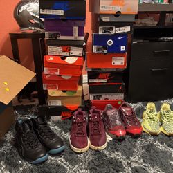 Sneaker Collection 