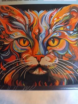 New paint by numbers, Cat