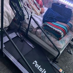 Dog Treadmill