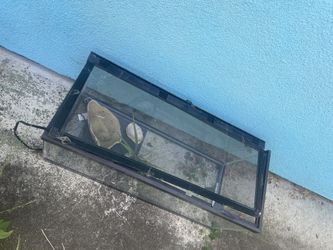 Reptile Or Fish Tank