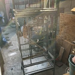 Cage