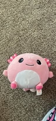 Stuff friend