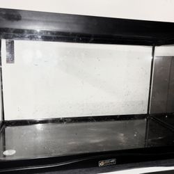 10 Gallon Terrarium tank