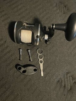 Fishing rod PENN