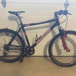Specialized Stump Jumper Mountain Bike