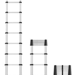 Telescopic Ladder 