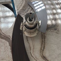 Harbor Breeze Celine Fan 