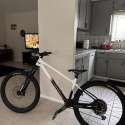 2023 Marin San Quentin 3 (XL)