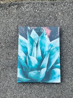 Wall art set of 3