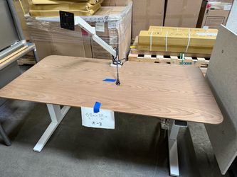 Electric Standing Desk 58x29 with Monitor Arm