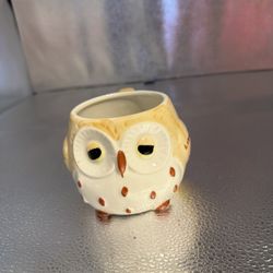 Owl Mug 
