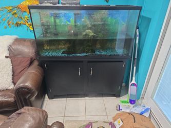 FISH TANK AQUARIUM