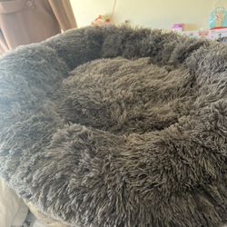 Cama Para Mascota