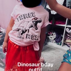 Girls Dinasour Birthday Outfit Sz 3t 