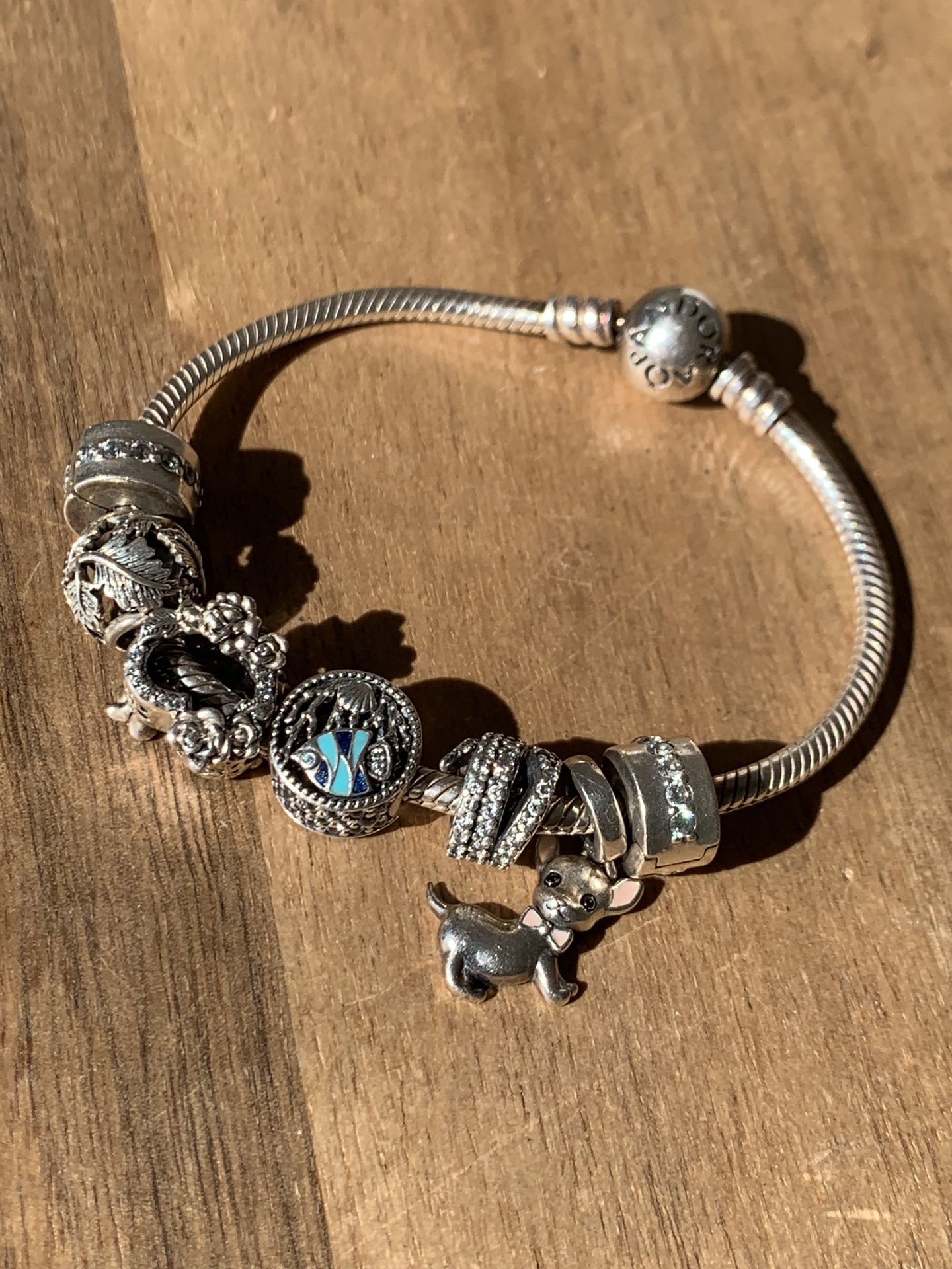 Pandora Charm Bracelet !