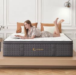 12 in Queen Mattress