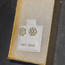 Earrings 10kt