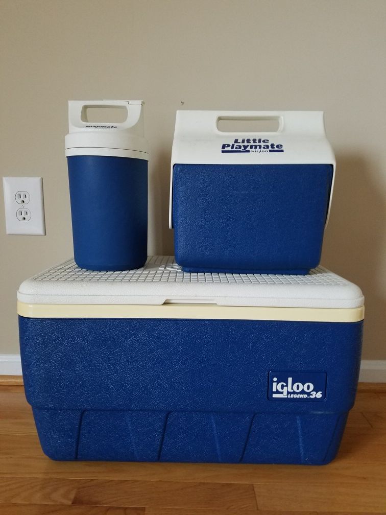 *Like New* Igloo - chest, playmate, and cooler