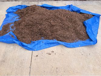 Mulch (cedar)