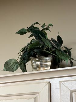 Faux plants