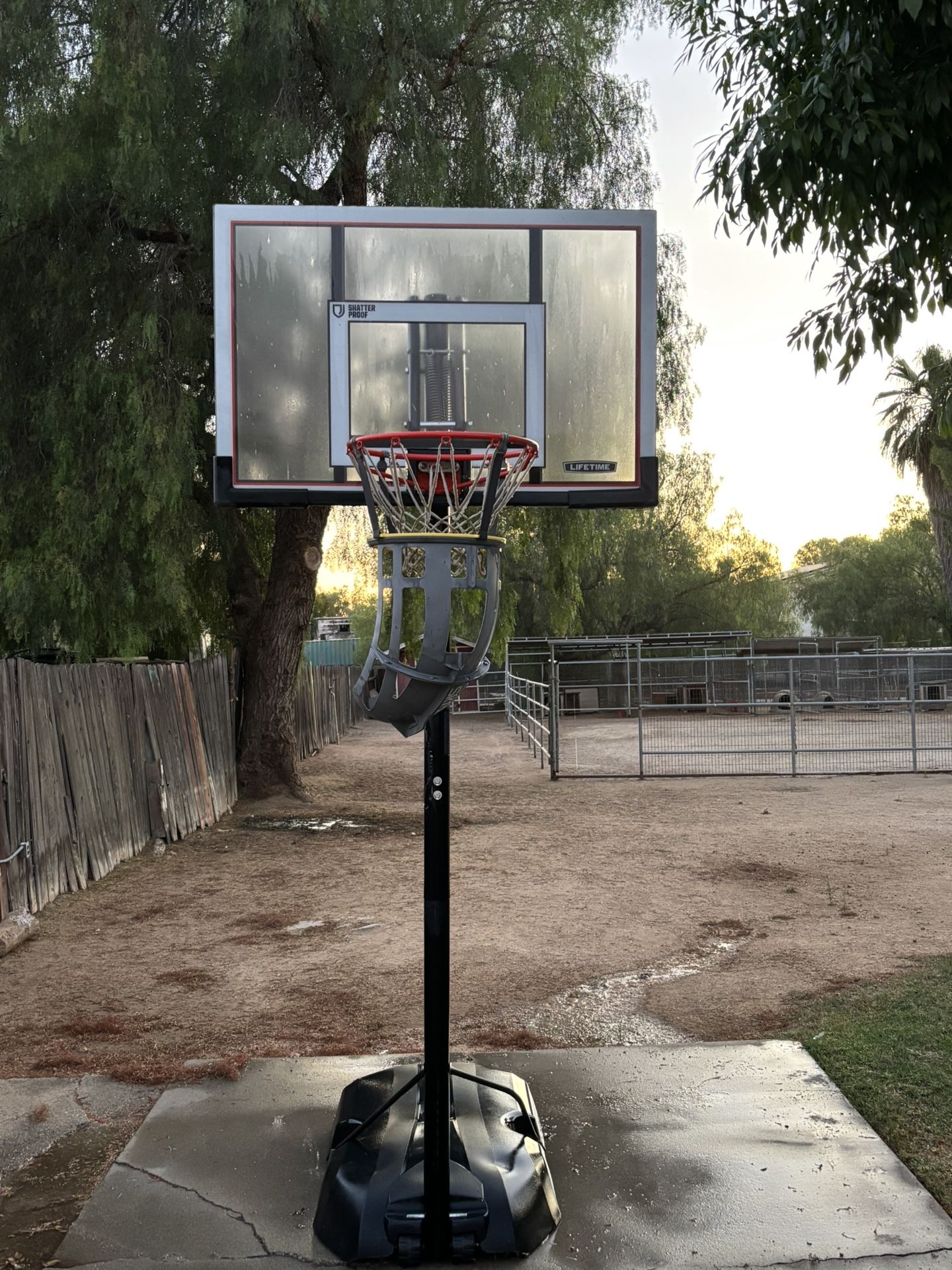 Basketball Hoop