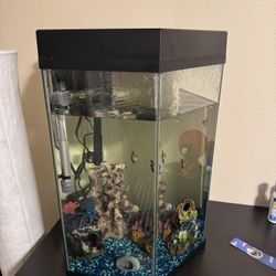 Fish Tank 20 Gallon