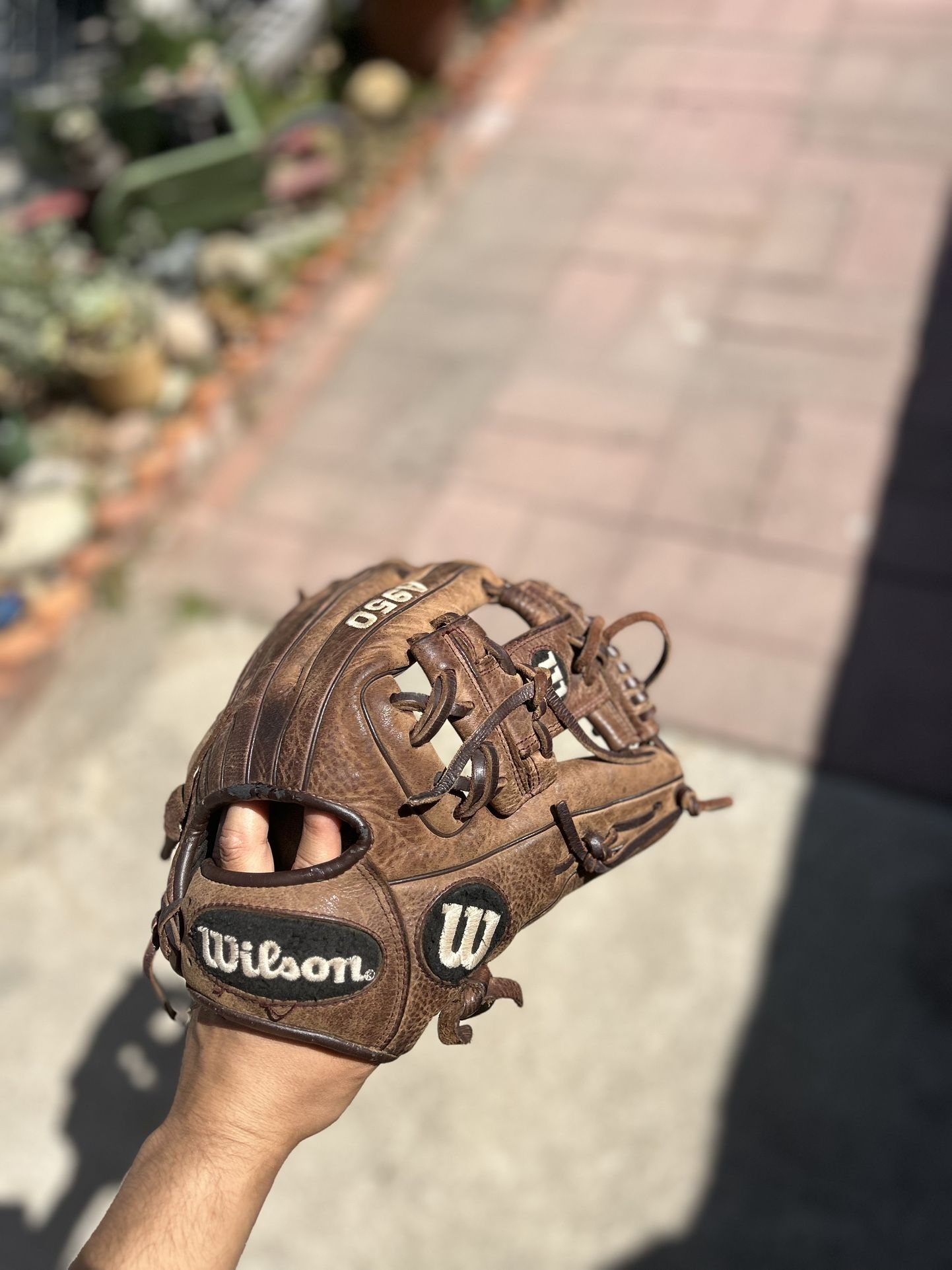Wilson Glove