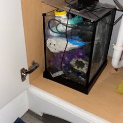 Fish Tank 