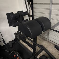 Glute Ham Developer (GHD) - Heavy Duty Garage Gym / CrossFit