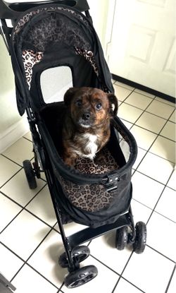 Dog stroller