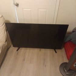 Large Screen TV 