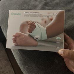 owlet dream sock