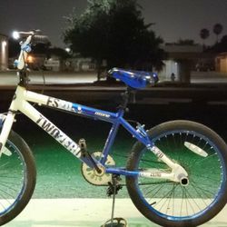 Boys 20' BMX Bike