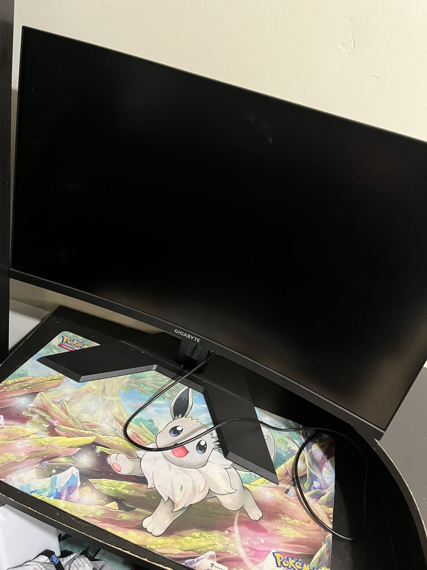 Gigabyte Gaming Monitor