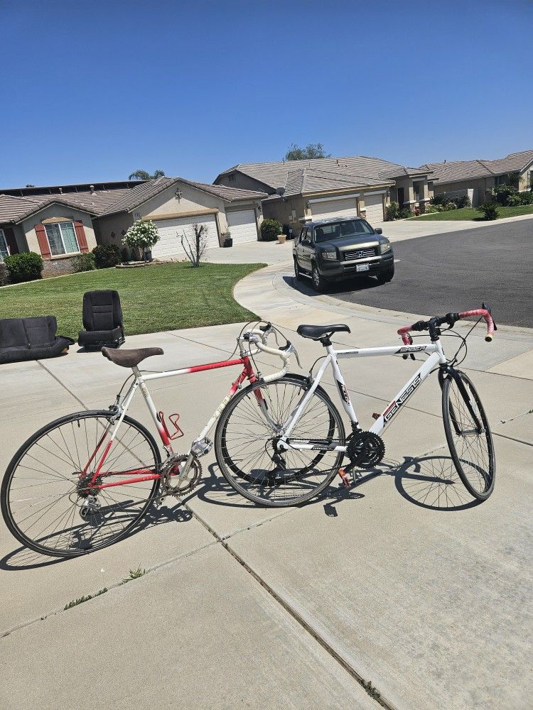 Trek & Shimano, race Bike