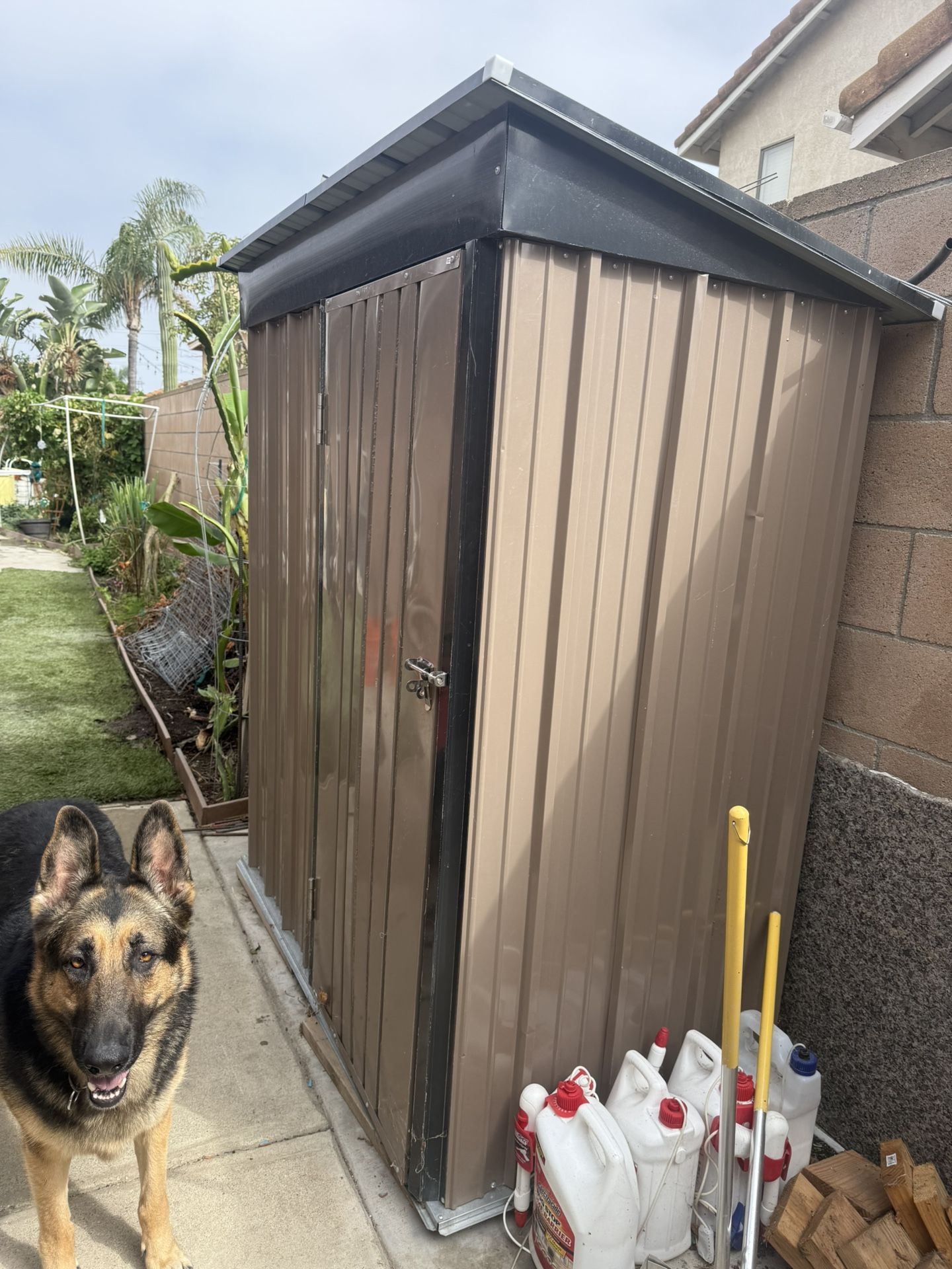 Garden Shed