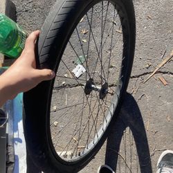 29 In Rim For Throne