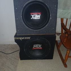2 12in Speakers